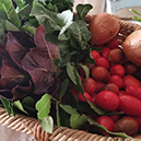 Pozivamo vas na drugu Slow Food edukaciju - Alati za valorizaciju bioraznolikosti